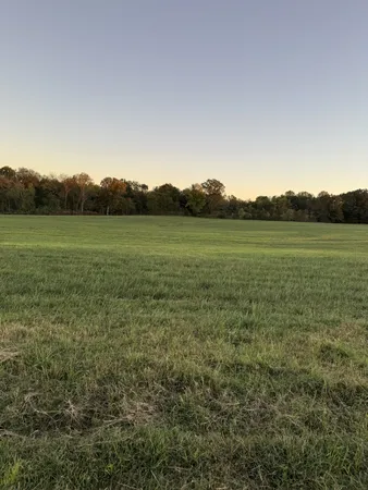 a view of grassy field with mountain