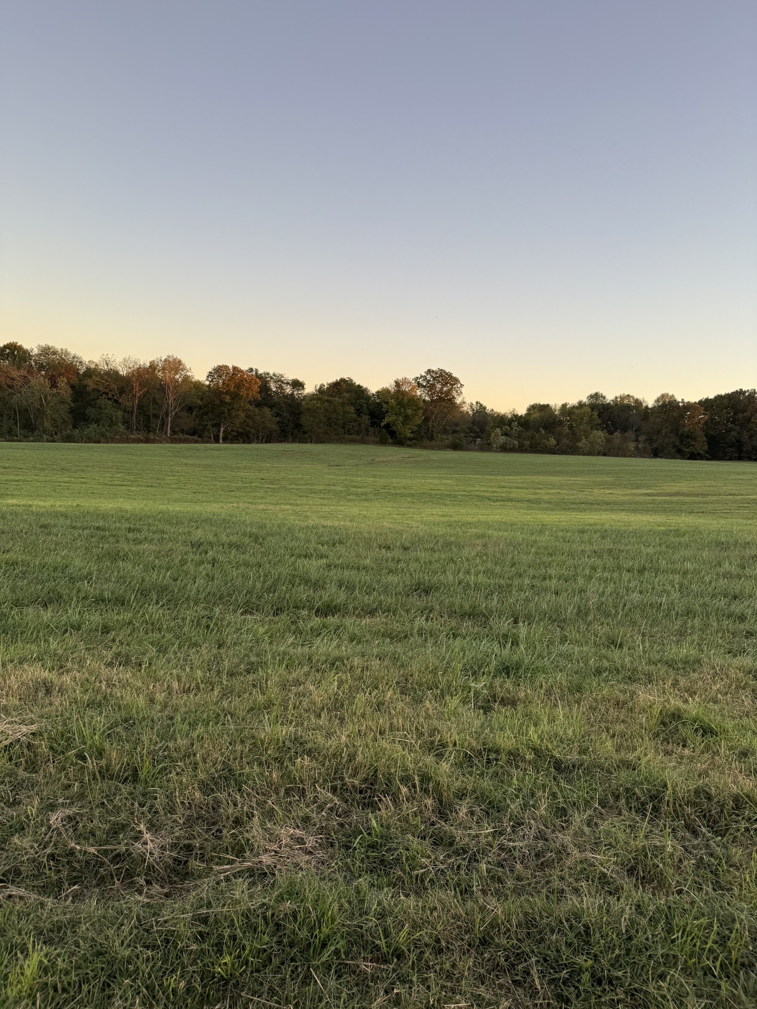 0 Woody Atkinson Road Woodburn, KY 42170 - Photo 2 of 18 a view of grassy field with mountain