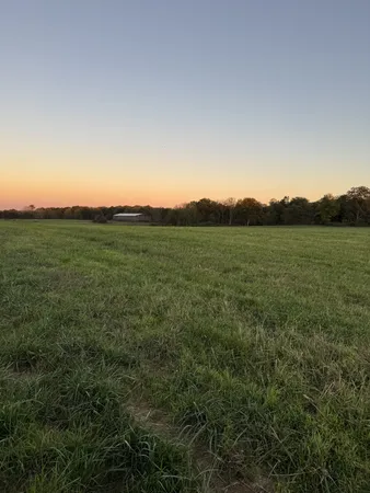 a view of a big yard with a mountain