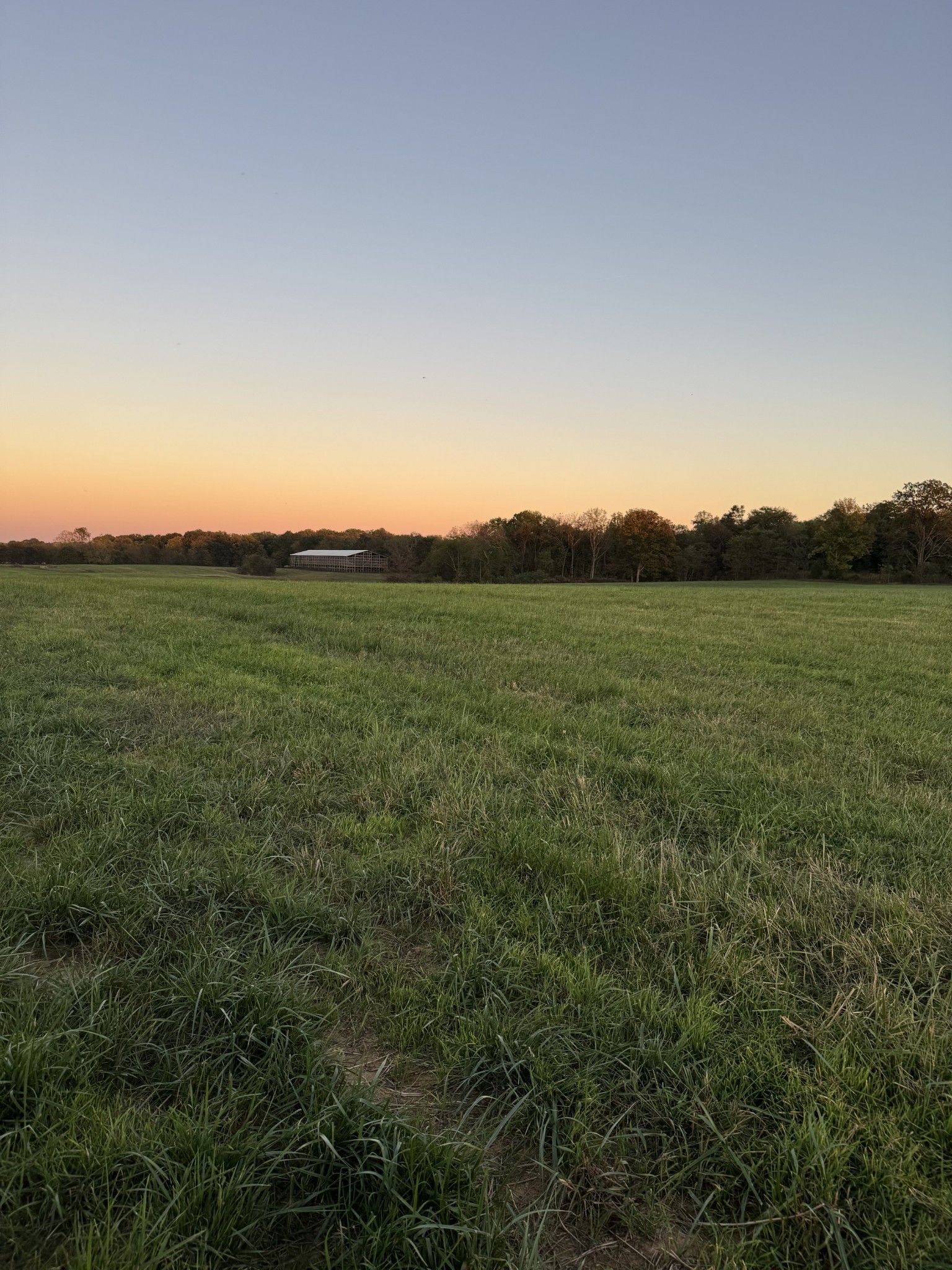 0 Woody Atkinson Road Woodburn, KY 42170 - Photo 5 of 18 a view of a big yard with a mountain