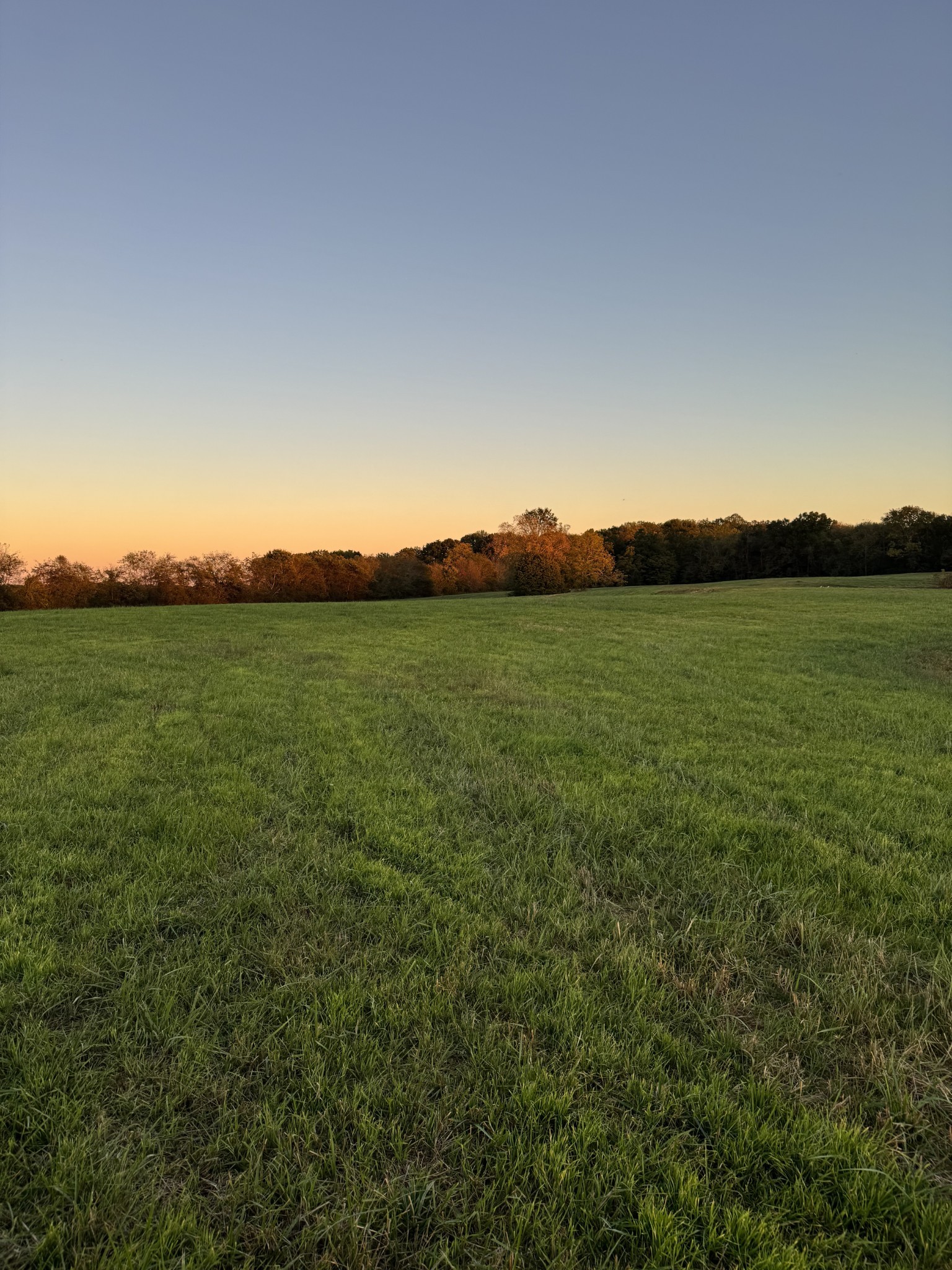 0 Woody Atkinson Road Woodburn, KY 42170 - Photo 8 of 18 a view of outdoor space and mountain view