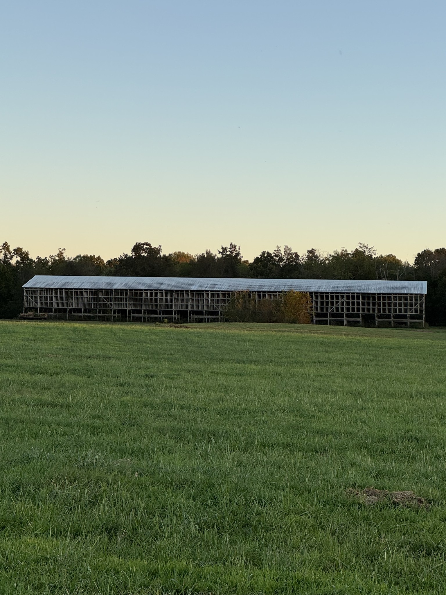 0 Woody Atkinson Road Woodburn, KY 42170 - Photo 9 of 18 a view of a garden