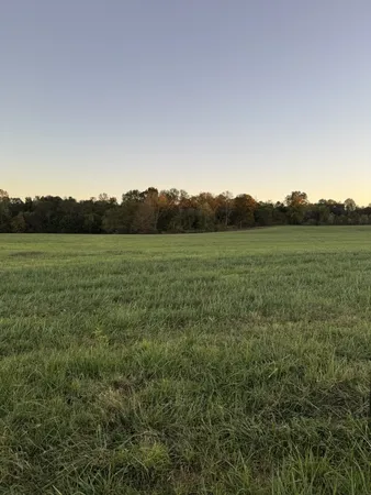 a view of grassy field with mountain