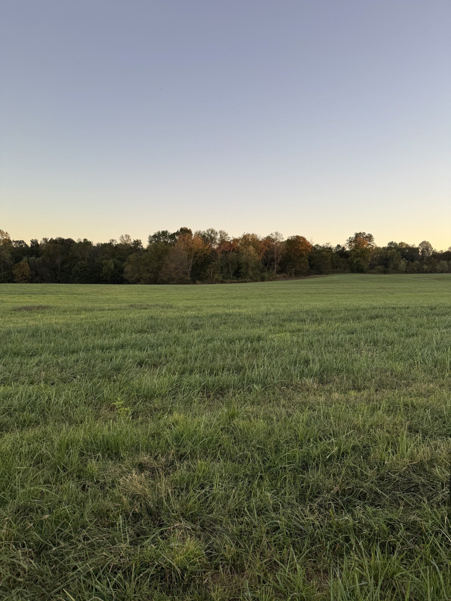 0 Woody Atkinson Road Woodburn, KY 42170 - Photo 10 of 18 a view of grassy field with mountain