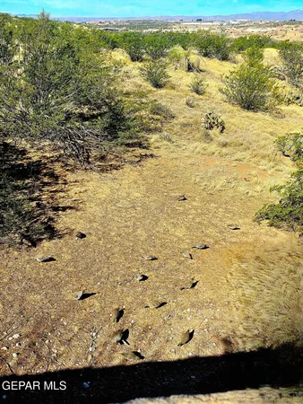 $314,857 | 2519 Silver Hawk Avenue, Las Cruces, NM 88011