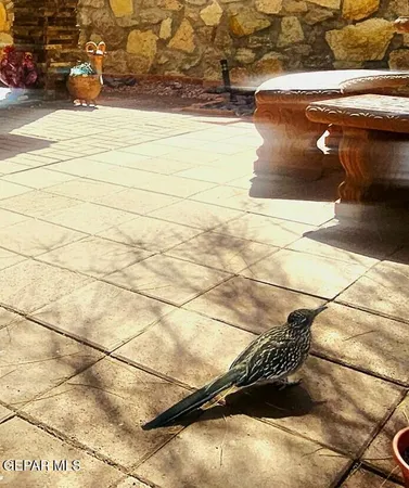 $314,857 | 2519 Silver Hawk Avenue, Las Cruces, NM 88011