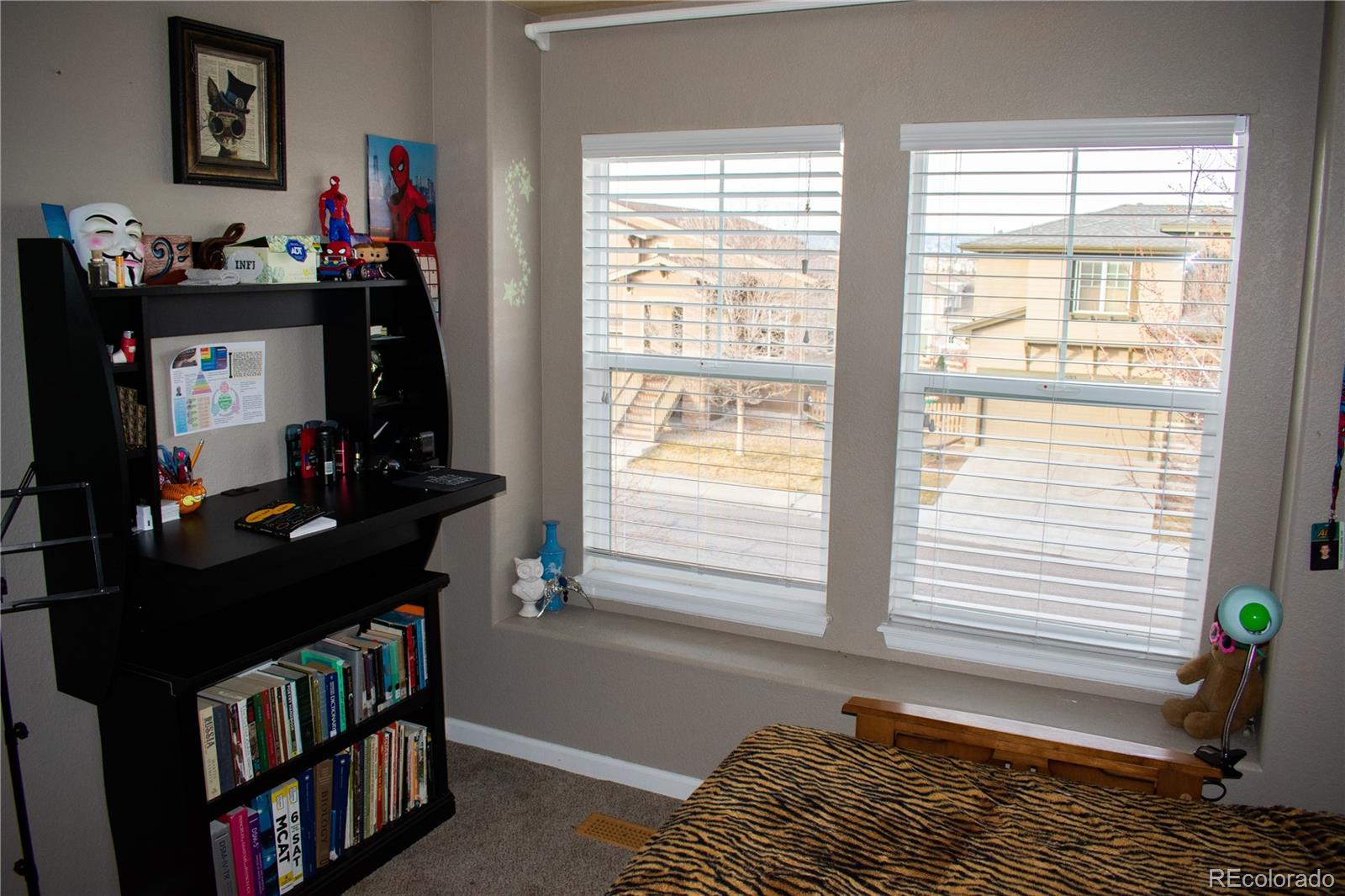 10594 Jewelberry Trail Highlands Ranch, CO 80130 - Photo 11 of 30