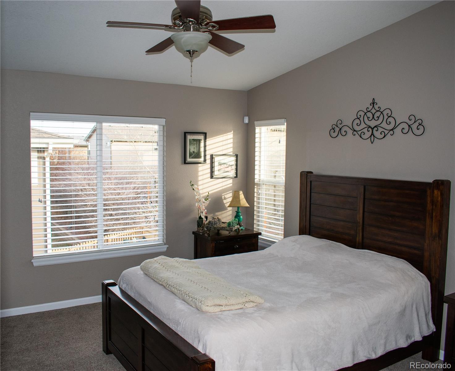 10594 Jewelberry Trail Highlands Ranch, CO 80130 - Photo 12 of 30