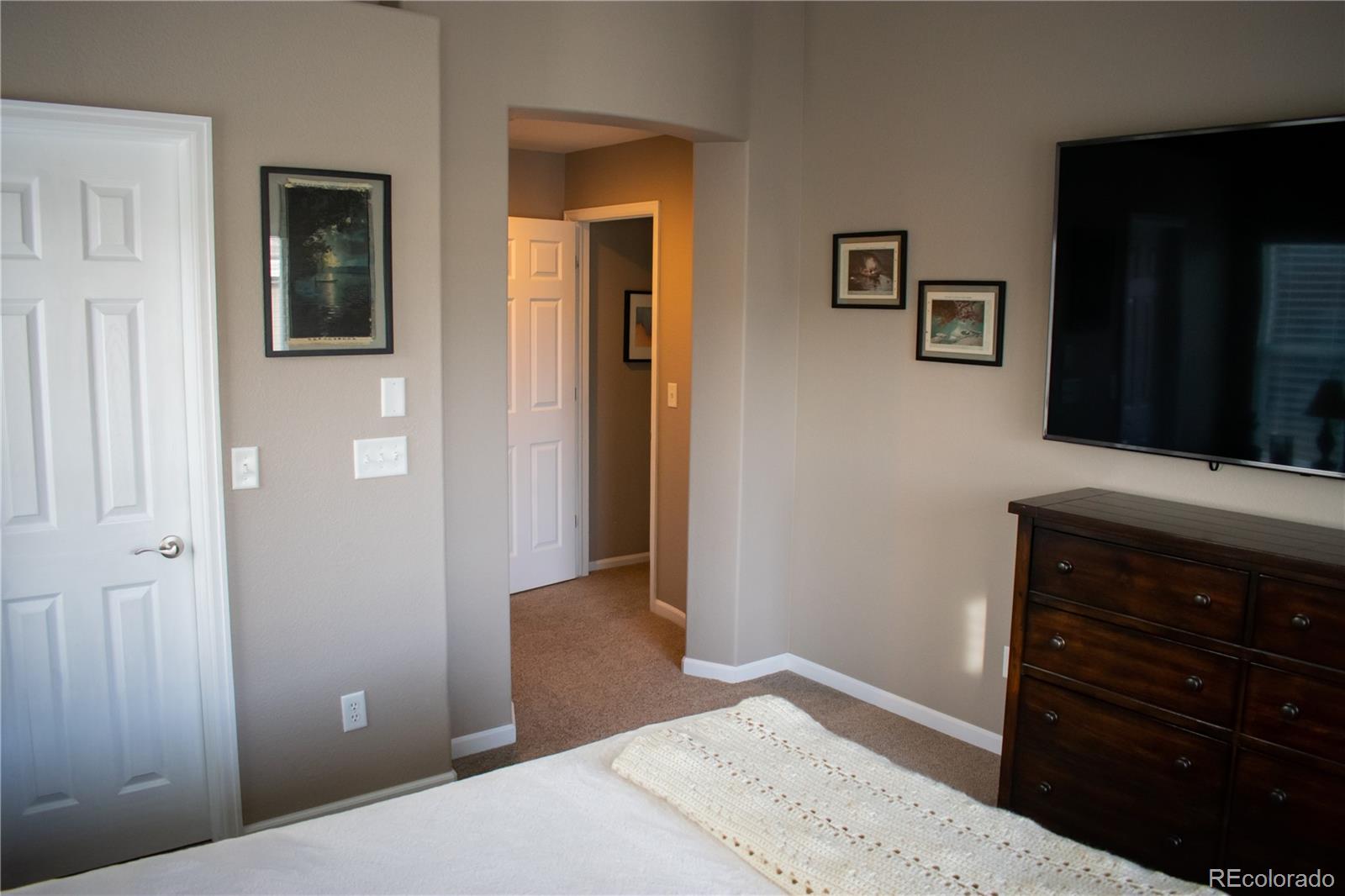 10594 Jewelberry Trail Highlands Ranch, CO 80130 - Photo 18 of 30