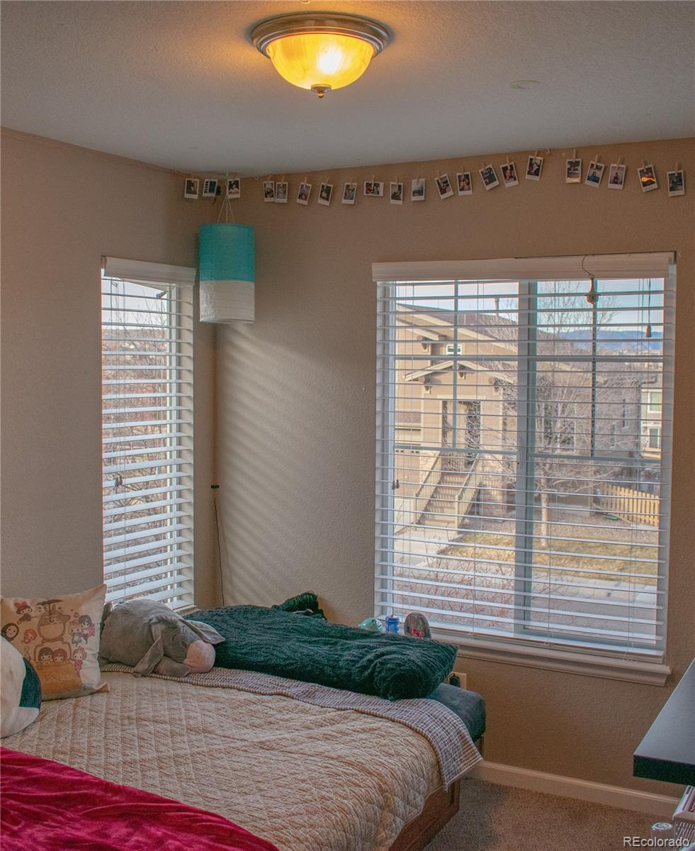 10594 Jewelberry Trail Highlands Ranch, CO 80130 - Photo 27 of 30