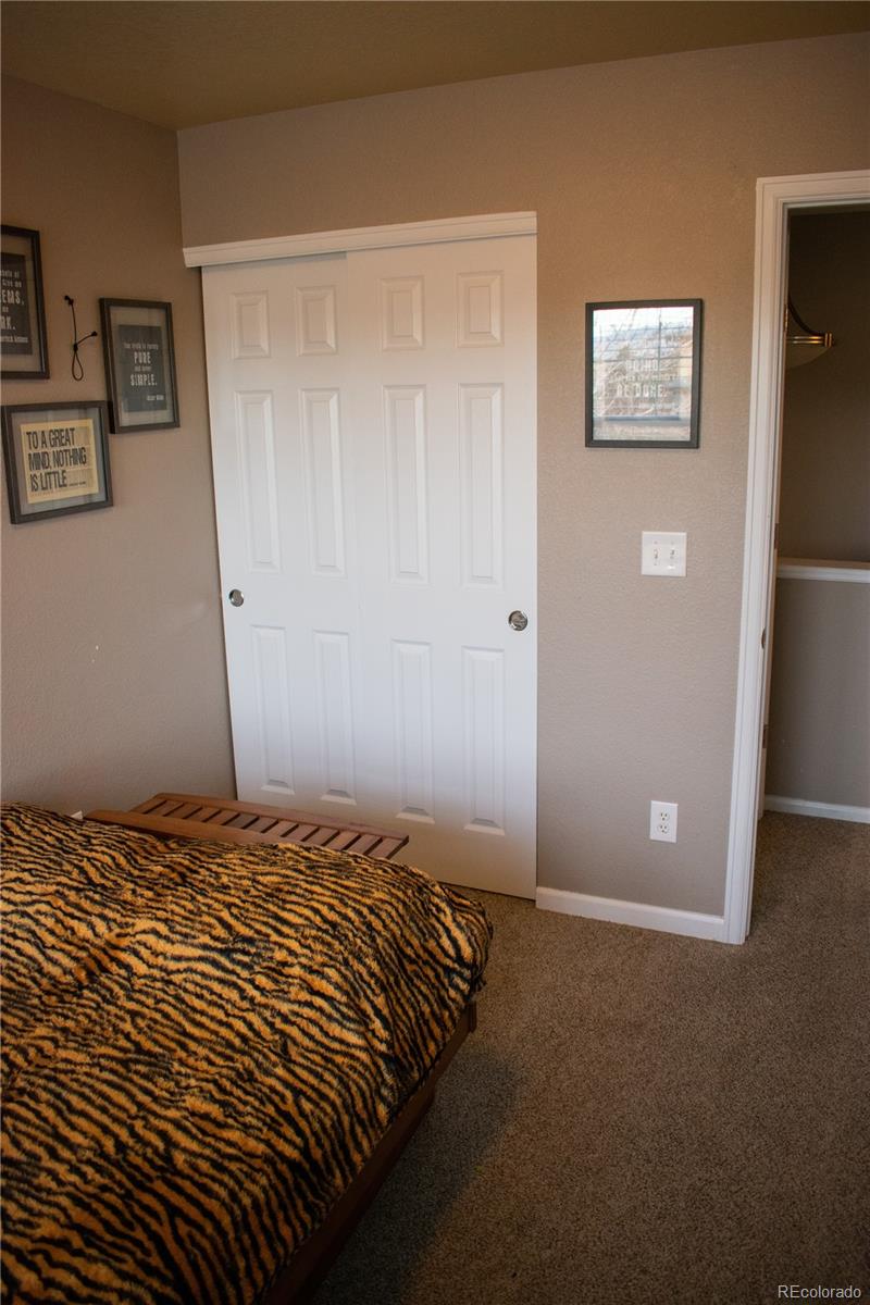 10594 Jewelberry Trail Highlands Ranch, CO 80130 - Photo 28 of 30