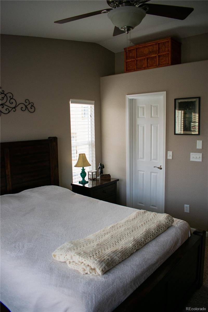 10594 Jewelberry Trail Highlands Ranch, CO 80130 - Photo 29 of 30