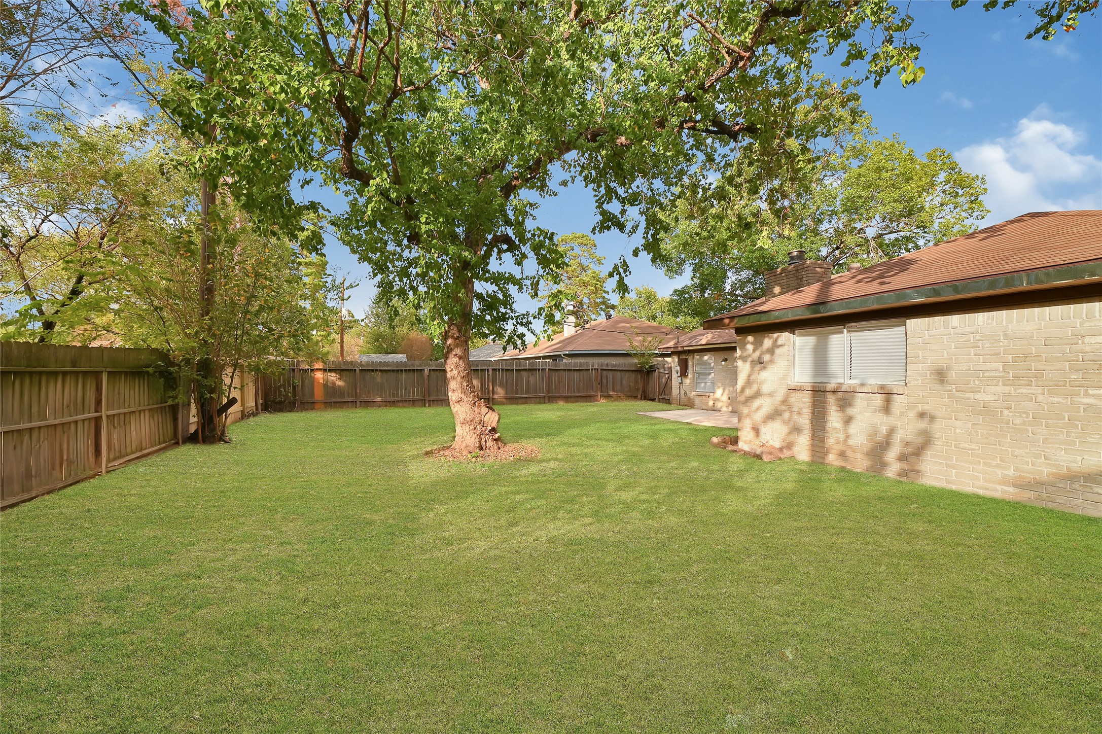 15907 Timber Valley Drive Houston, TX 77070 - Photo 5 of 27 a view of backyard with green space