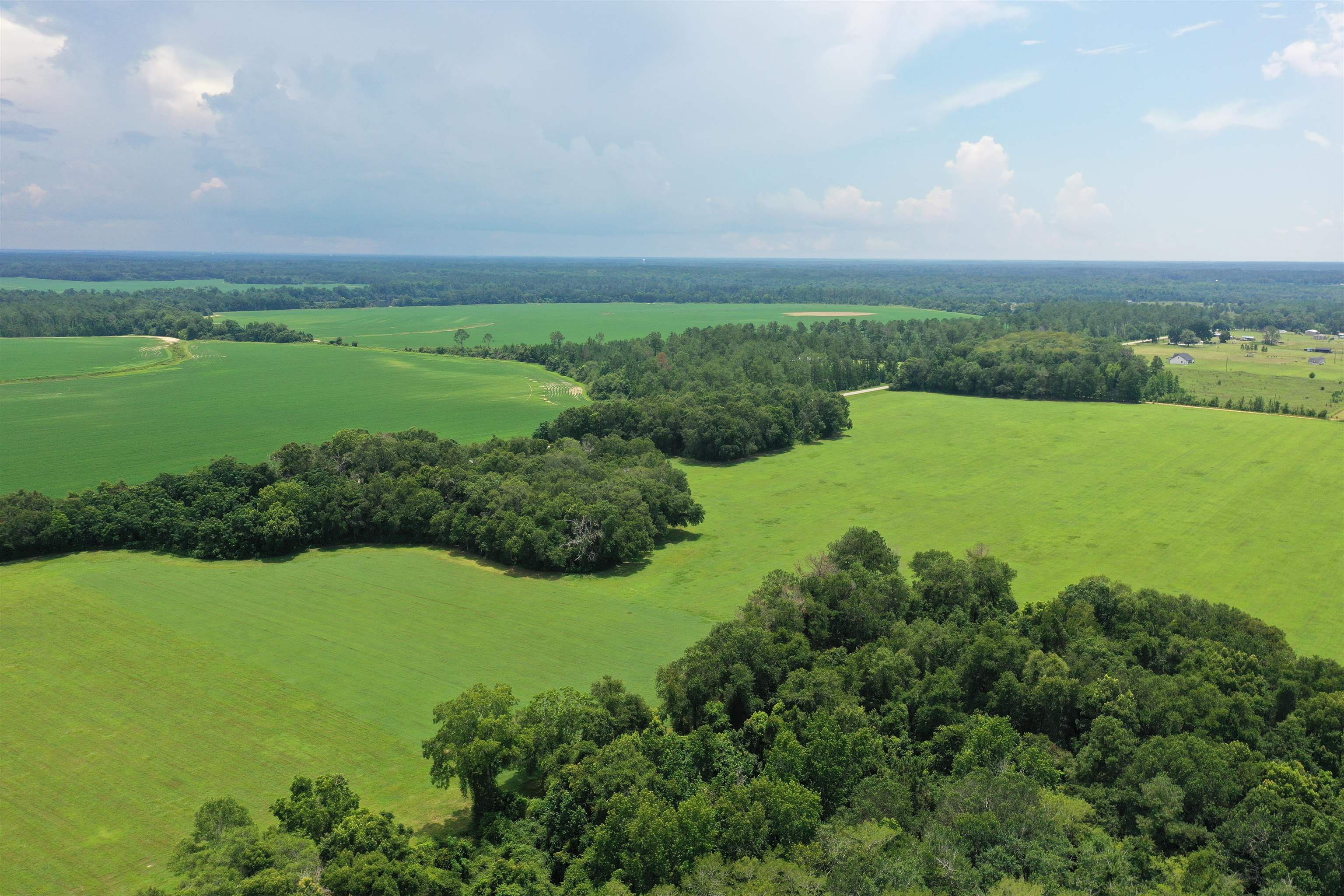 Xx Xx Max Herrin Road Quincy, FL 32352 - Photo 4 of 46