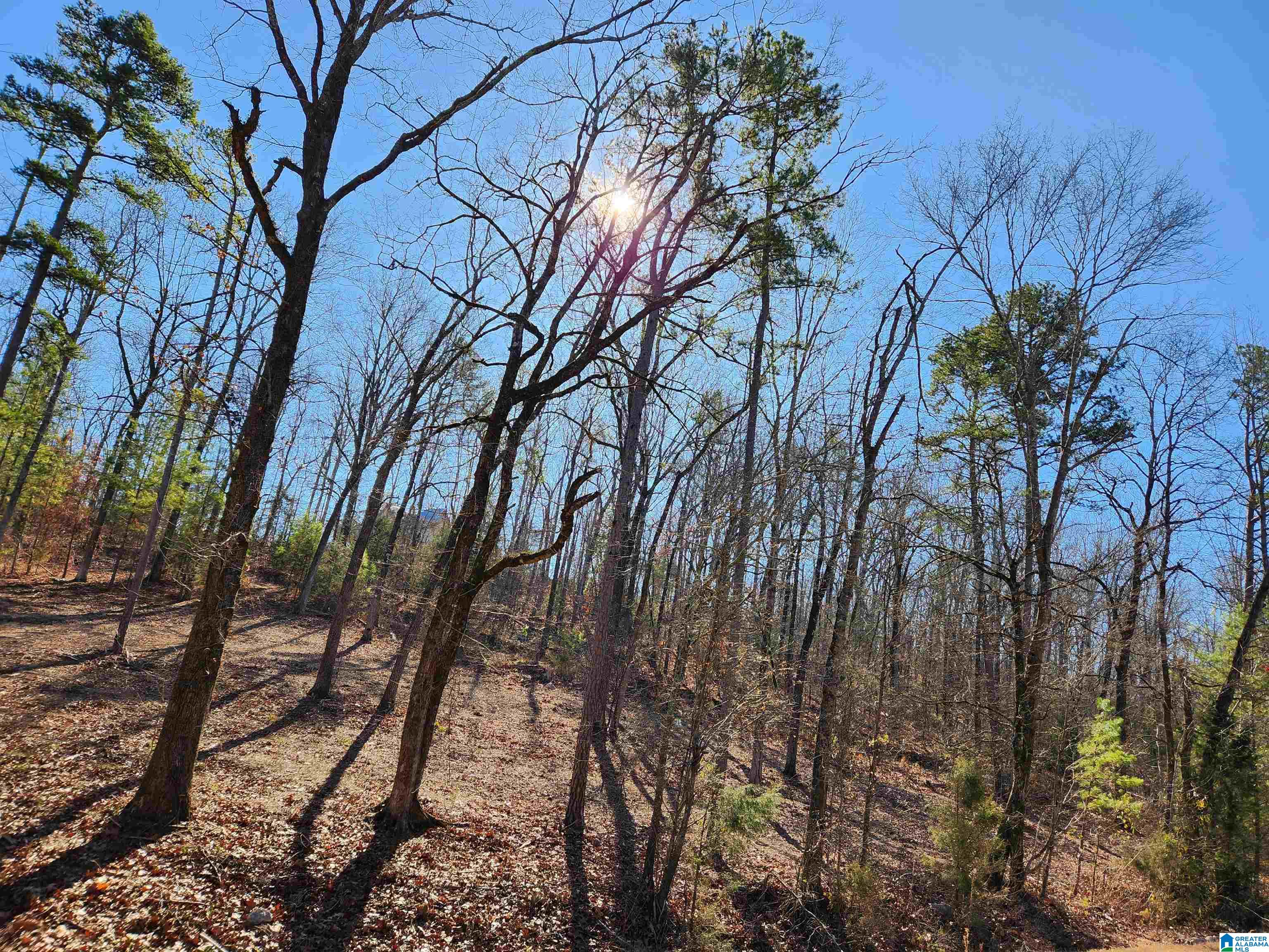 0 Spring Creek Road, Unit 3 Columbiana, AL 35051 - Photo 5 of 14