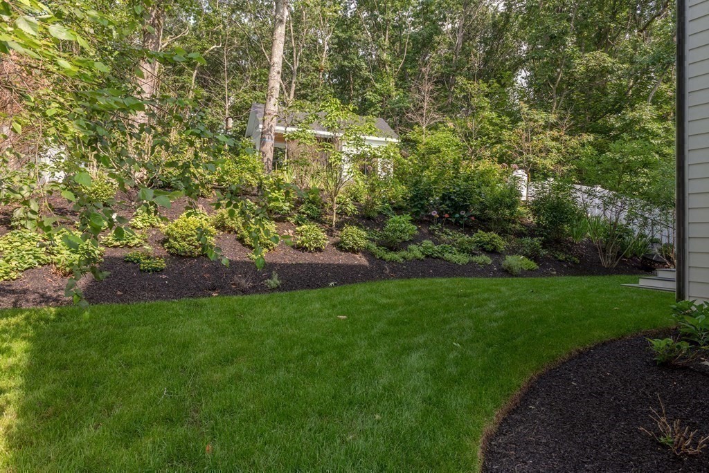 35 Wayne Road Newton, MA 02459 - Photo 31 of 33 a view of yard with green space