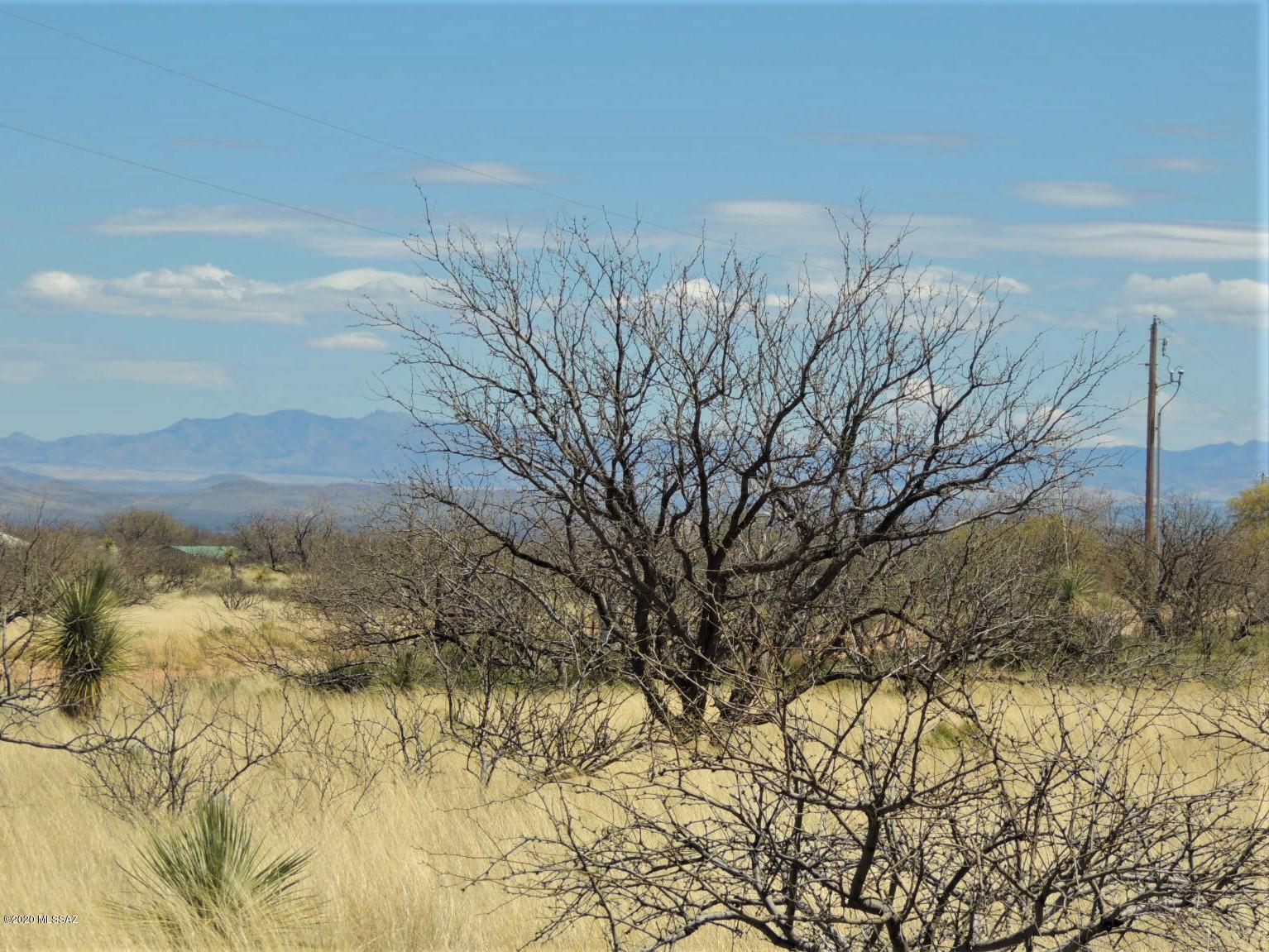 Tbd West Pearce Road, Unit 2 Pearce, AZ 85625 - Photo 17 of 19