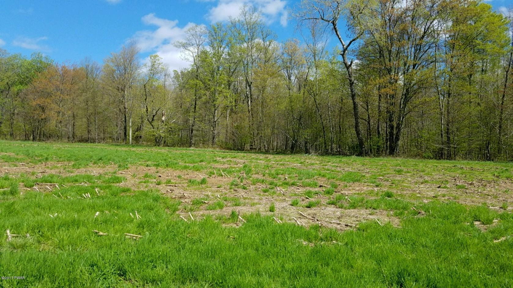 376 Wescott Road Tyler Hill, PA 18469 - Photo 5 of 8