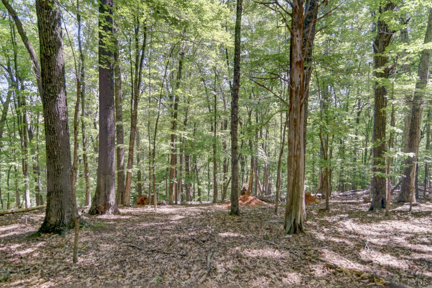 5154 Truman Hill Road Hardy, VA 24101 - Photo 44 of 51 Gallery Image 44
