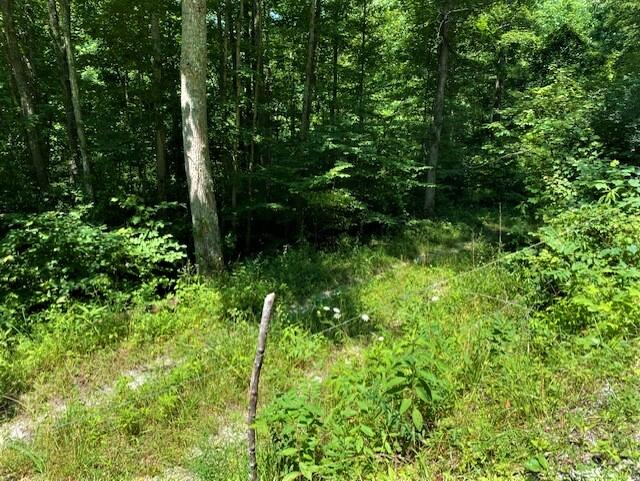 2389 Trace Branch Road Livingston, KY 40445 - Photo 18 of 23 18