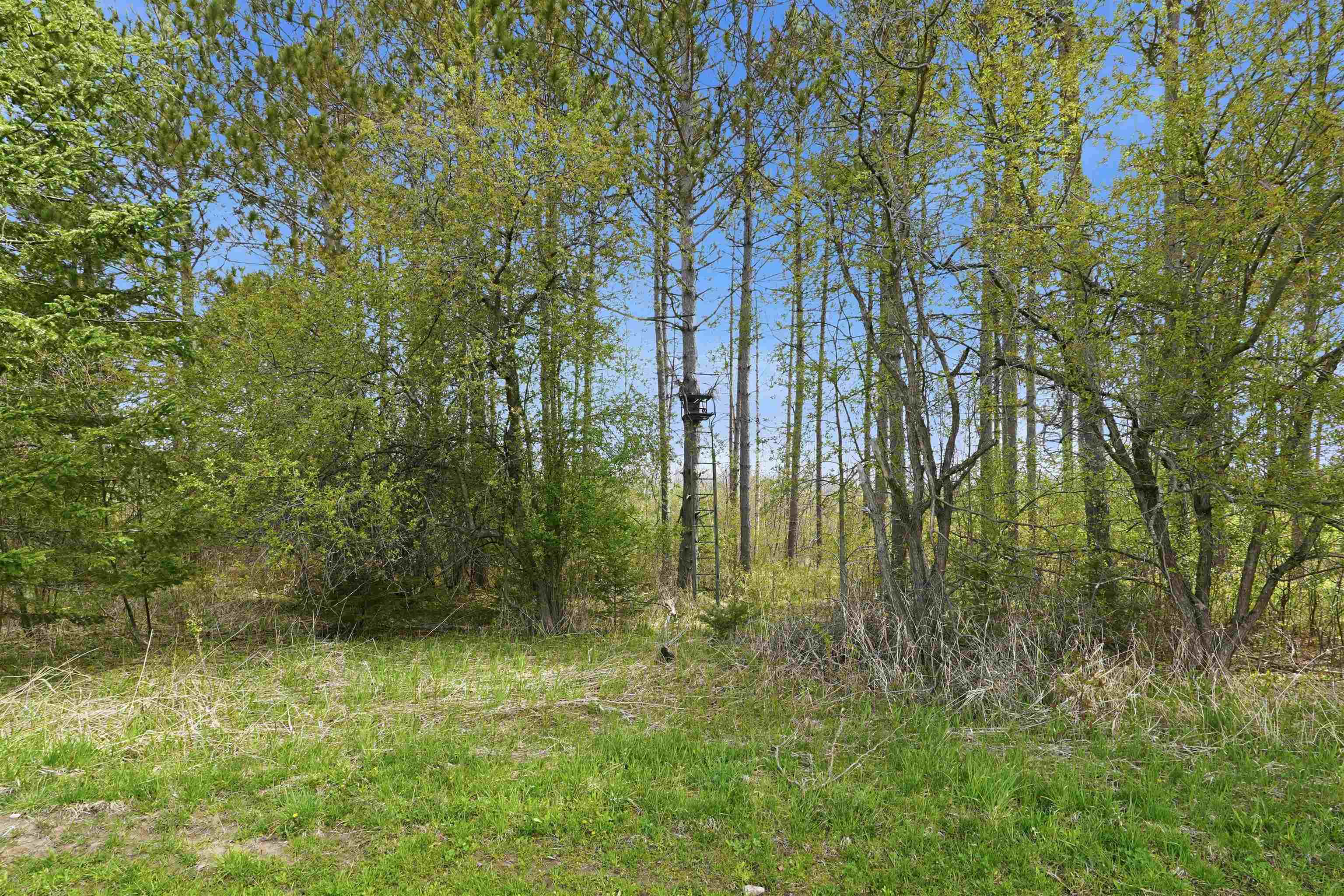 W2477 Bonde Avenue Rib Lake, WI 54470 - Photo 10 of 14