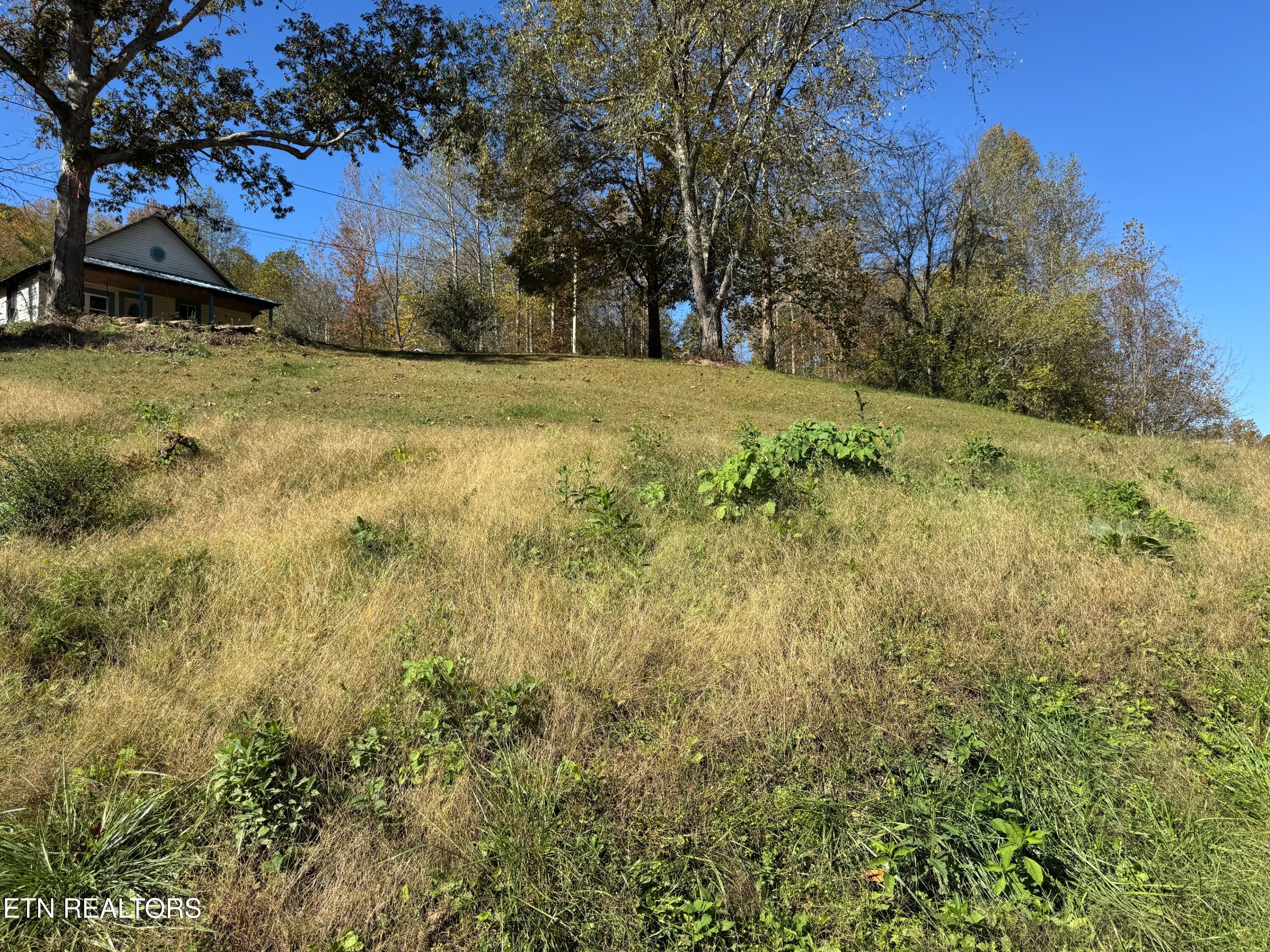 160 Laco Road Huntsville, TN 37756 - Photo 5 of 18 Pic 5