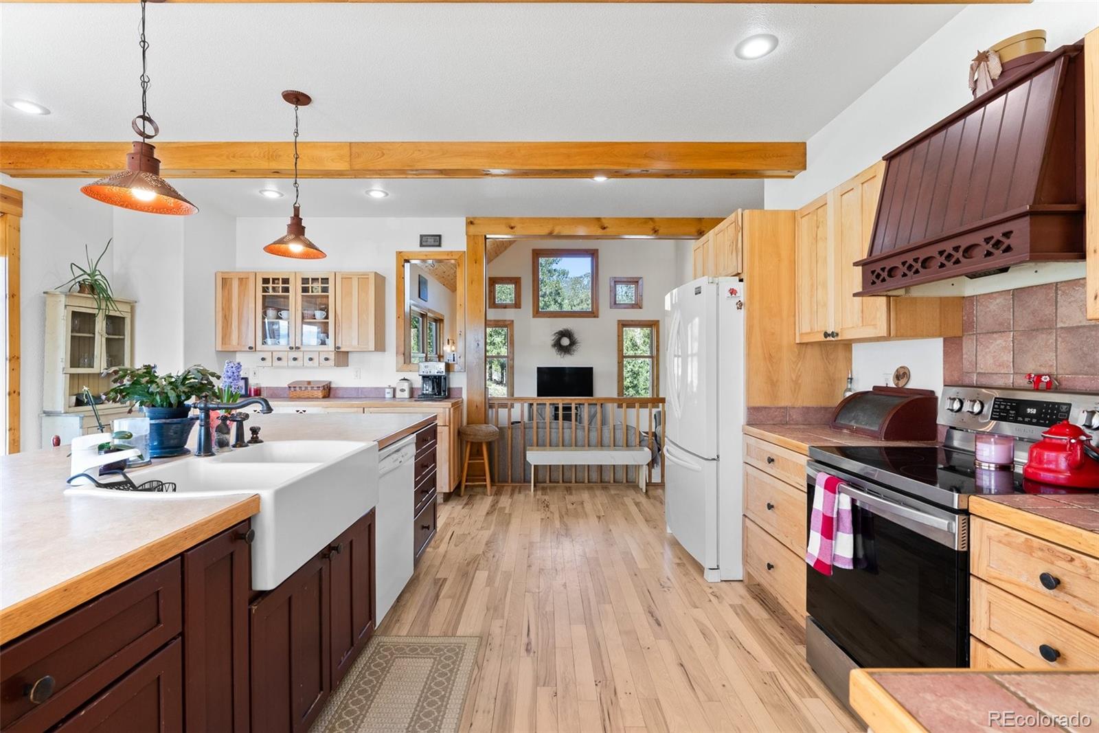 582 Buddy Road Bailey, CO 80421 - Photo 16 of 49