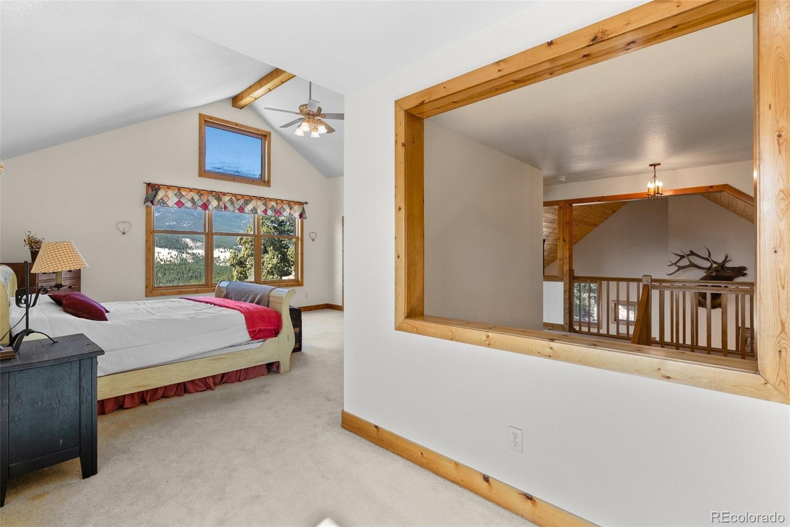 582 Buddy Road Bailey, CO 80421 - Photo 25 of 49