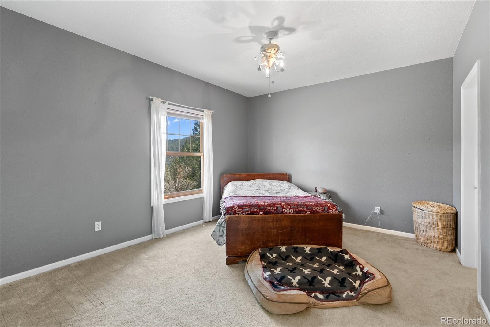 582 Buddy Road Bailey, CO 80421 - Photo 30 of 49