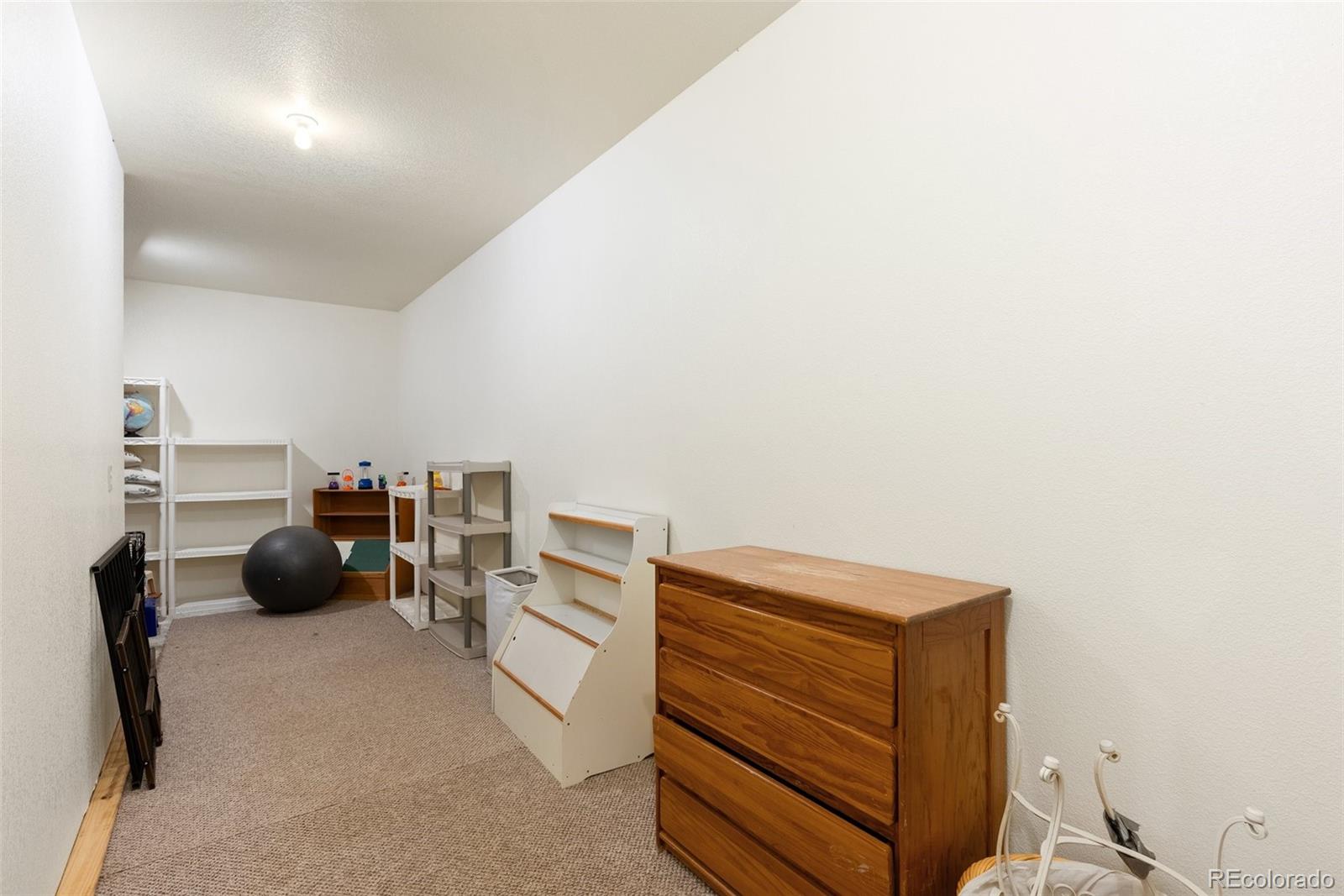 582 Buddy Road Bailey, CO 80421 - Photo 33 of 49