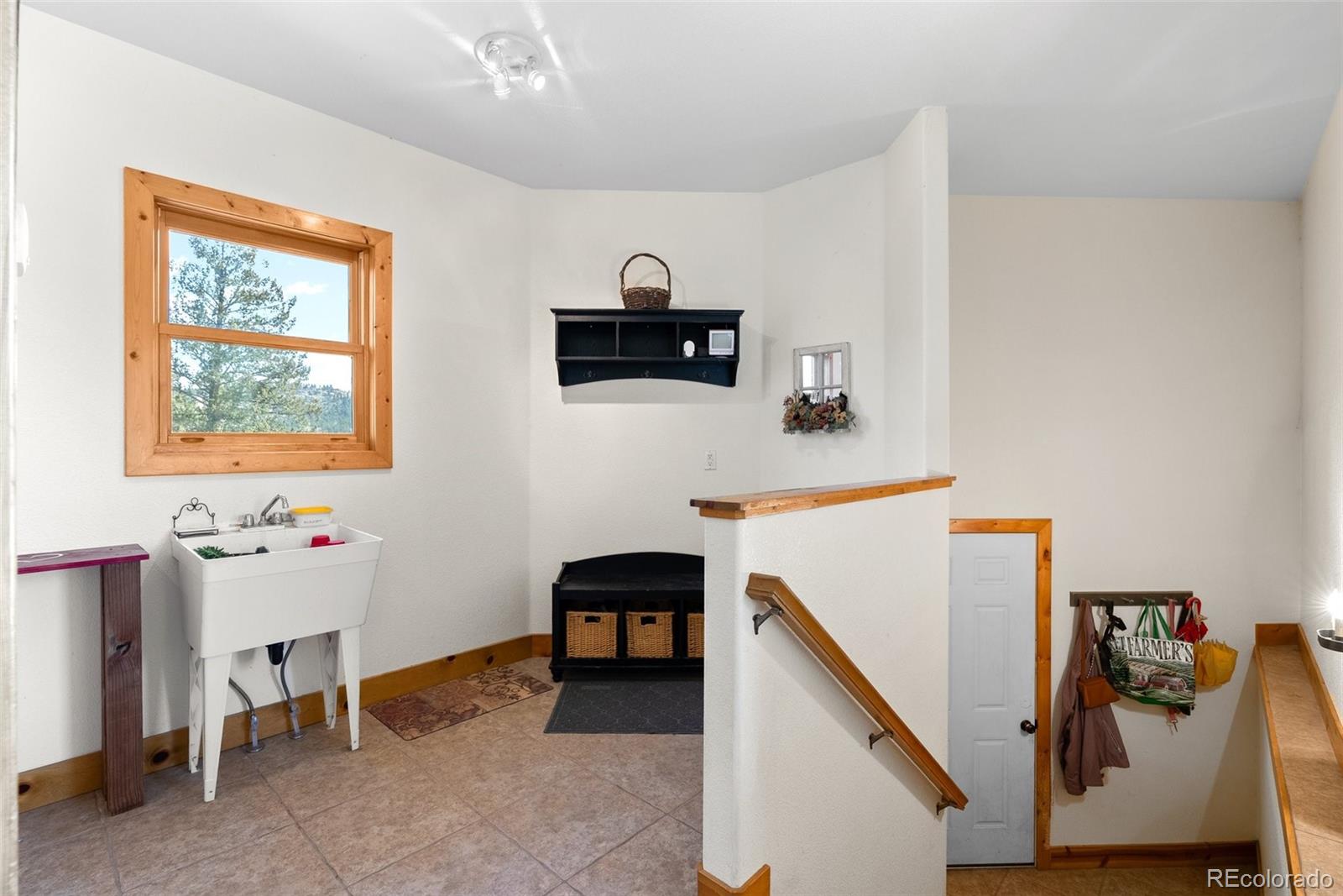 582 Buddy Road Bailey, CO 80421 - Photo 34 of 49