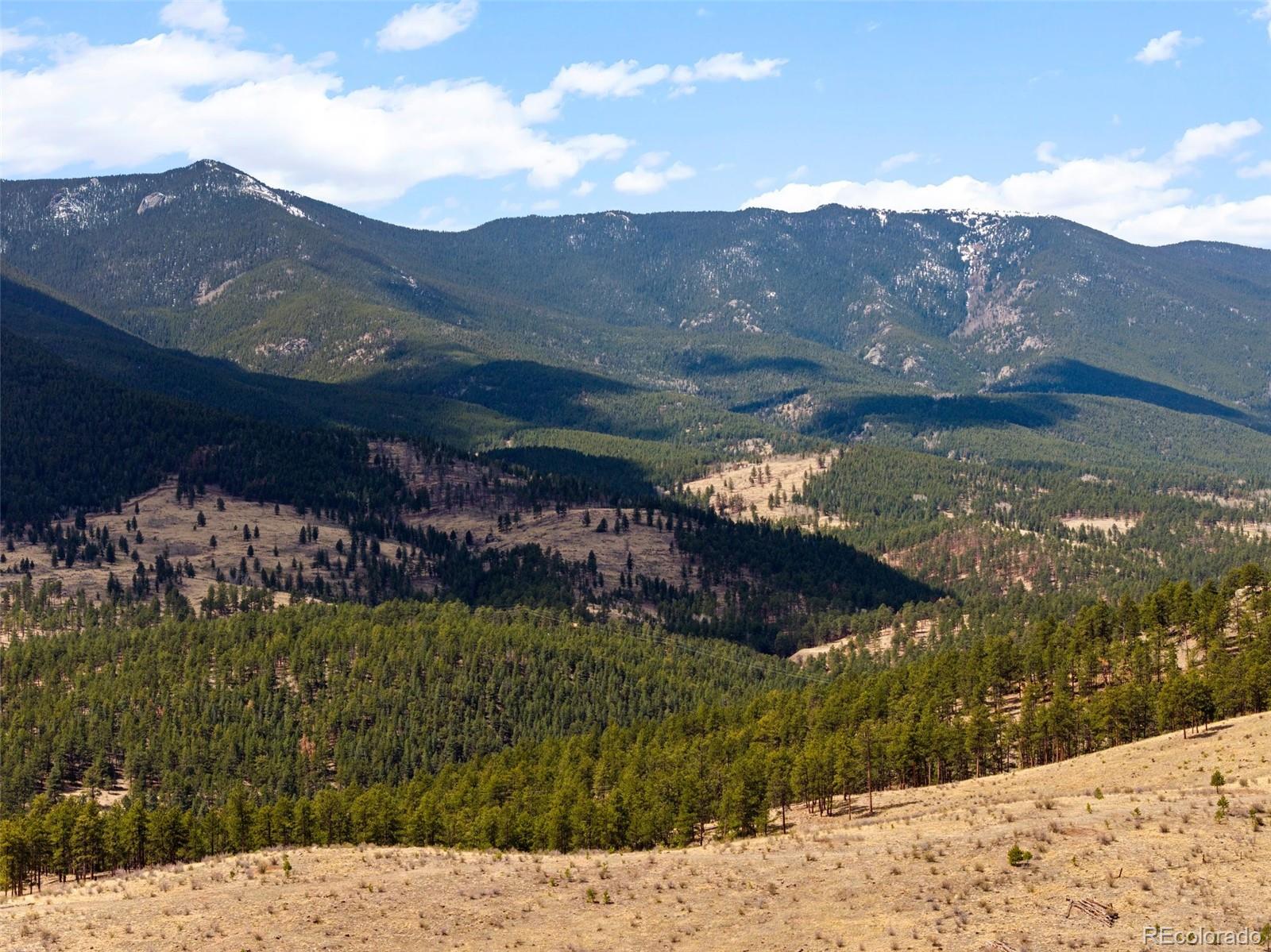 582 Buddy Road Bailey, CO 80421 - Photo 45 of 49