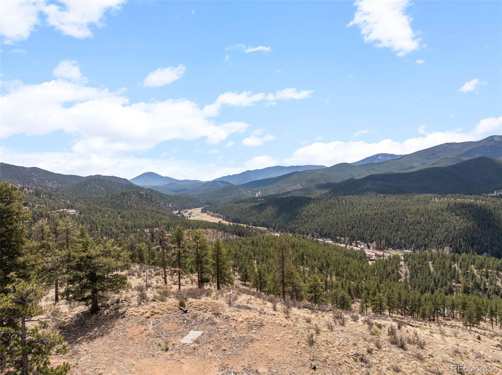 582 Buddy Road Bailey, CO 80421 - Photo 46 of 49