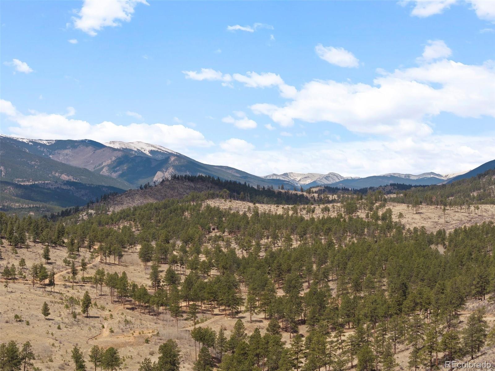 582 Buddy Road Bailey, CO 80421 - Photo 47 of 49