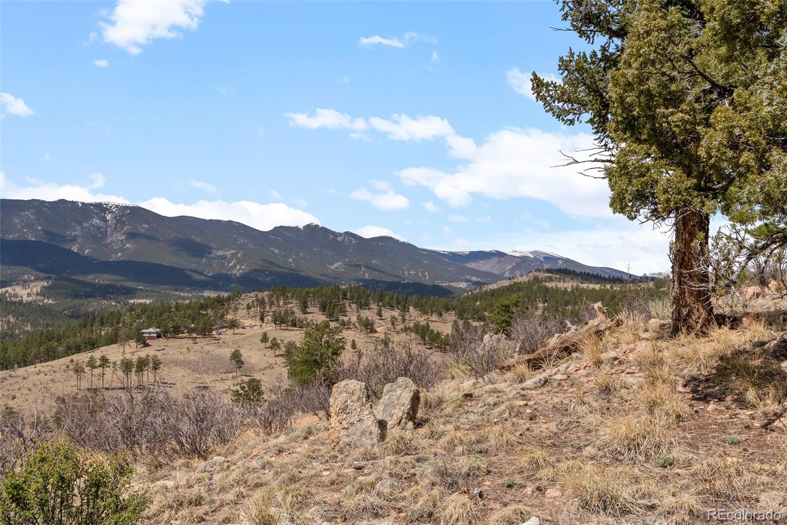 582 Buddy Road Bailey, CO 80421 - Photo 48 of 49