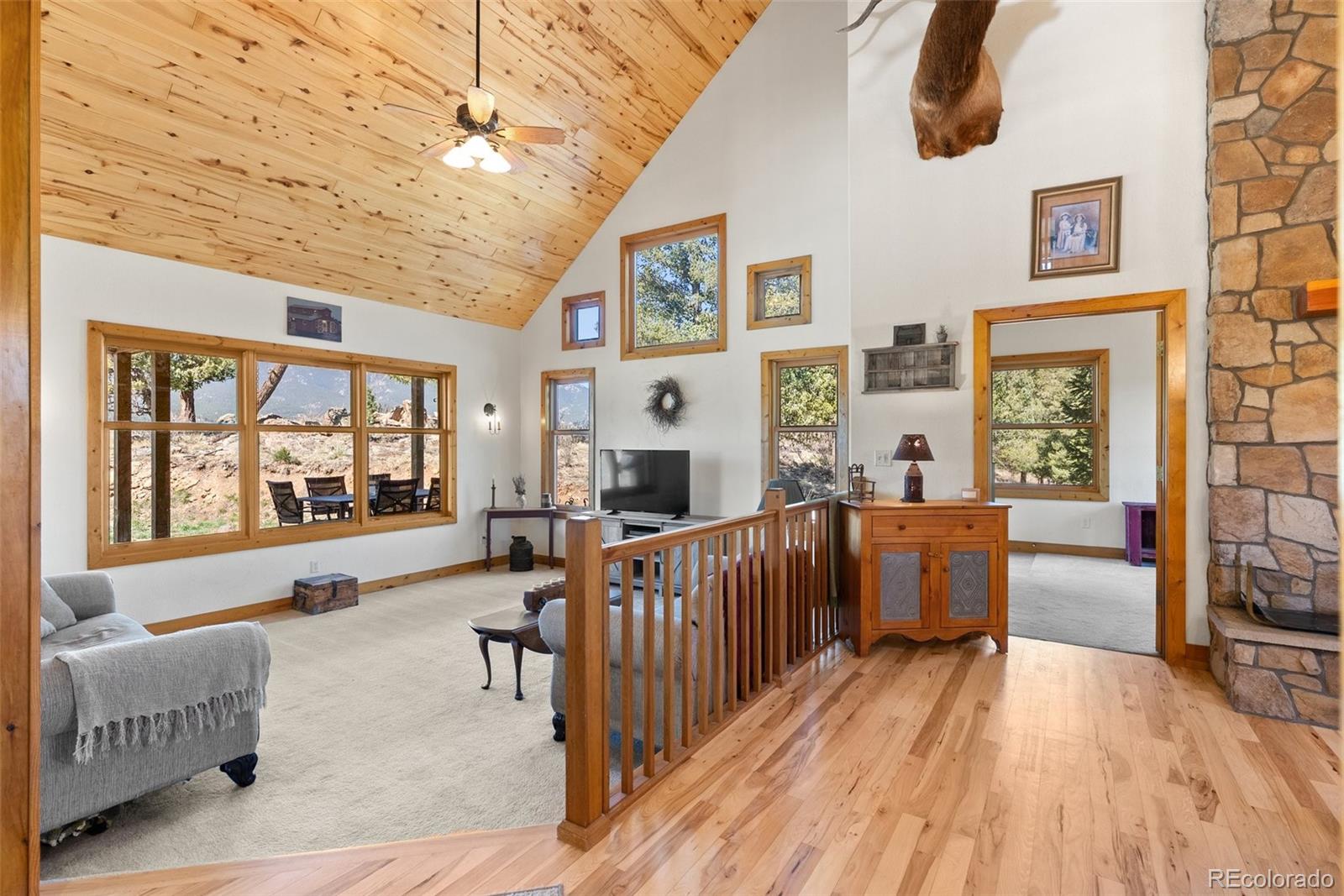 582 Buddy Road Bailey, CO 80421 - Photo 9 of 49