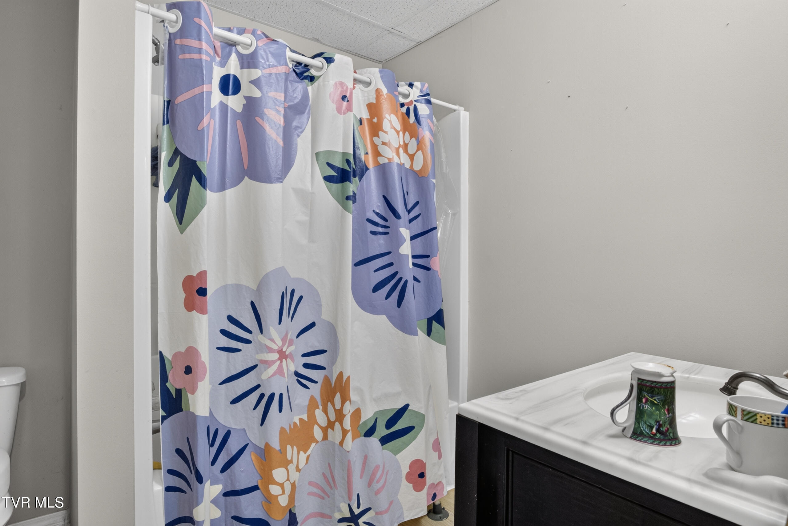 6196 Poplar Springs Road Greeneville, TN 37743 - Photo 40 of 59 DSC00810