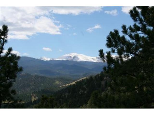 104 Wild Rdg Trail Evergreen, CO 80439 - Photo 1 of 1 Gallery Image 1