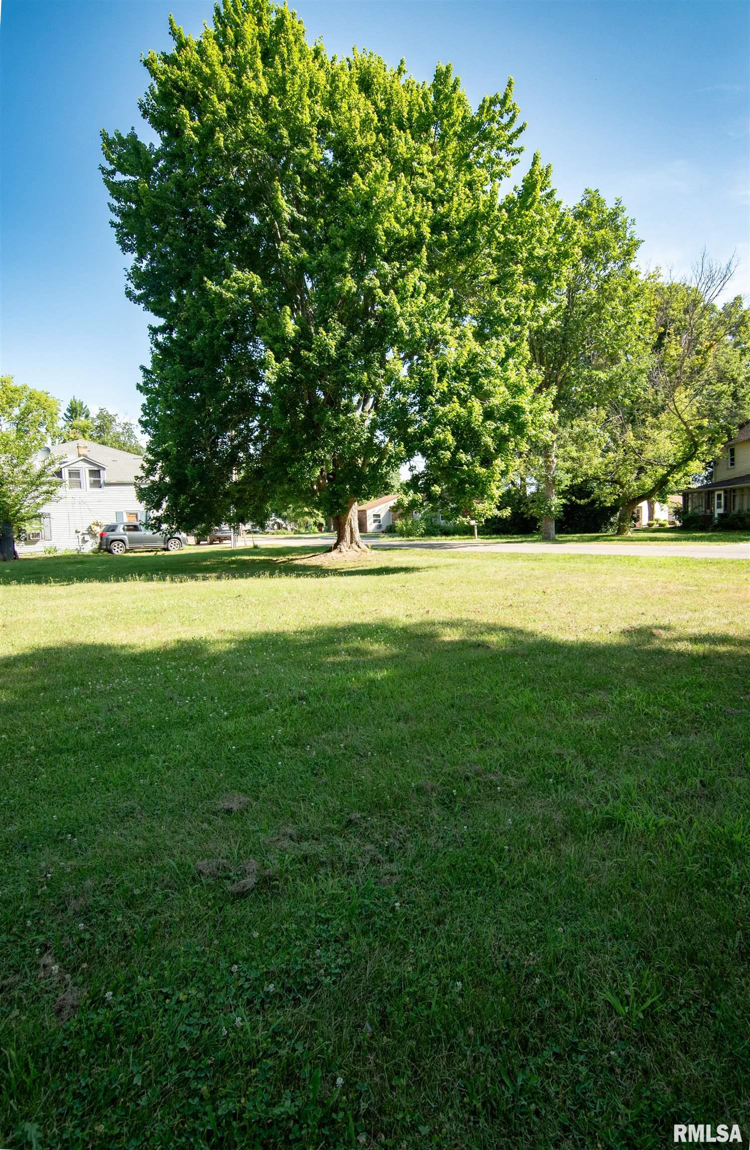 121 East Fremont Street Henry, IL 61537 - Photo 4 of 5 Gallery Image 4