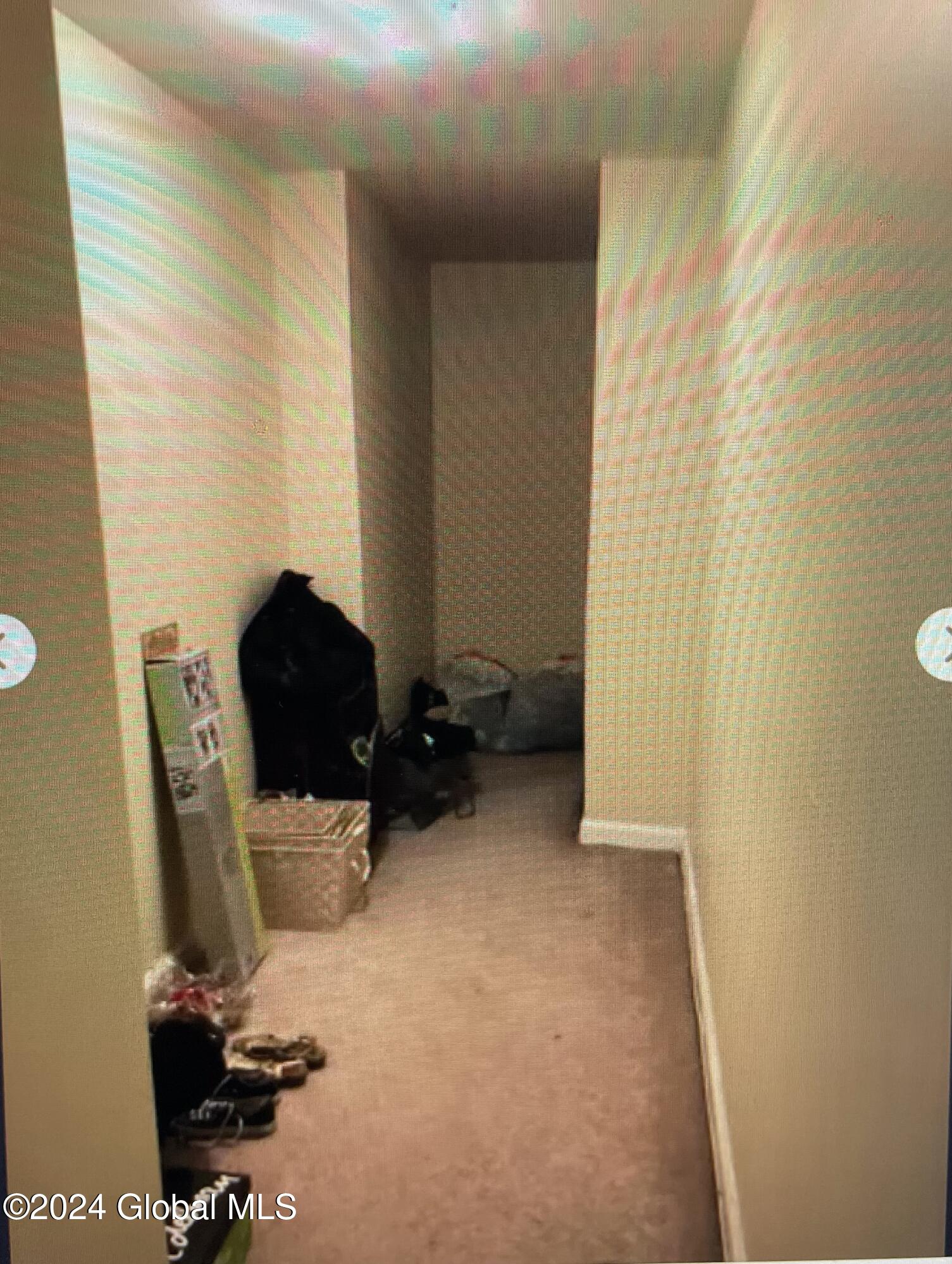 378 Hamilton Street Albany, NY 12210 - Photo 13 of 30 IMG_6789