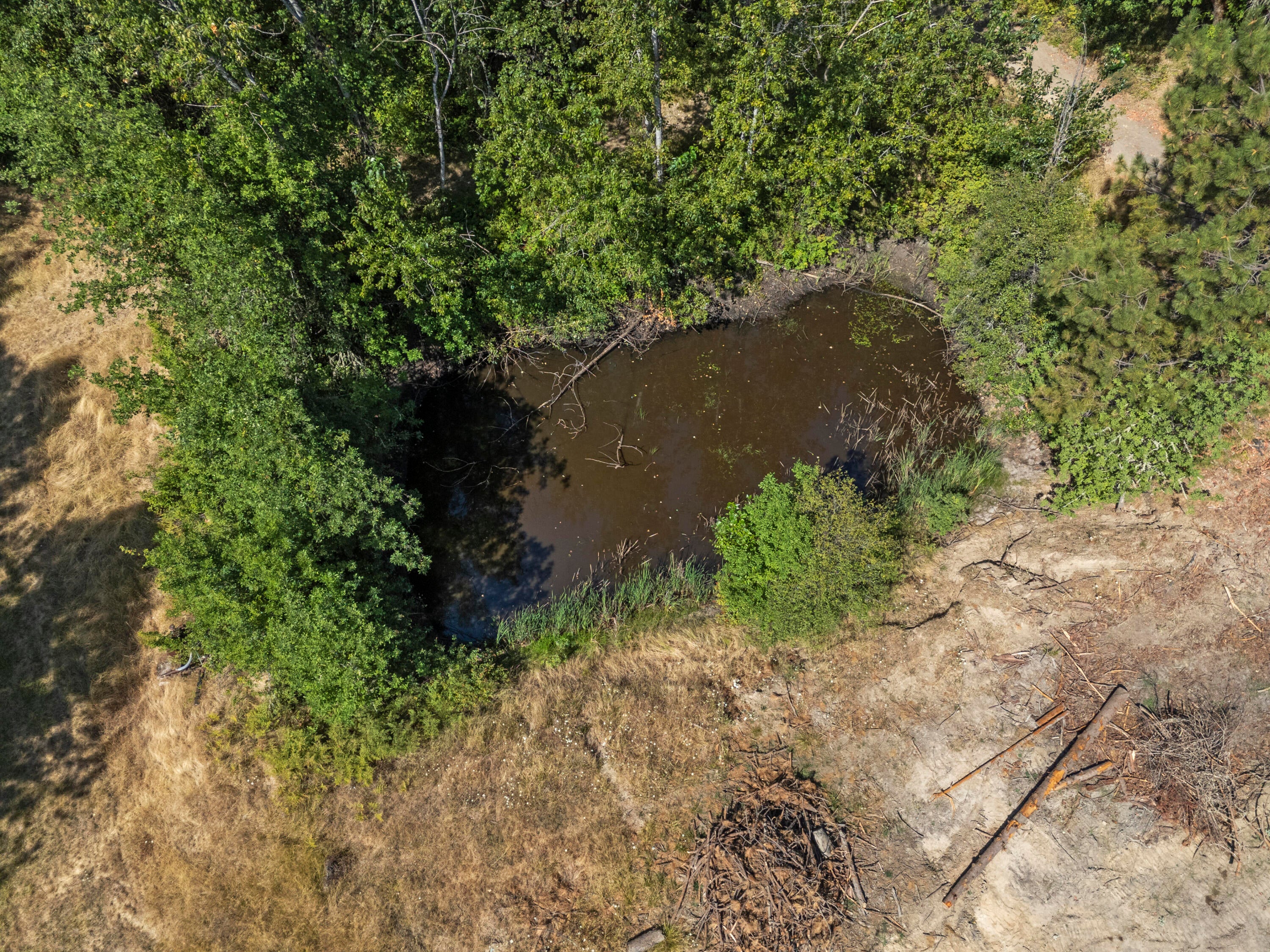 2681 Russell Road Grants Pass, OR 97526 - Photo 34 of 46 Aerial Pond