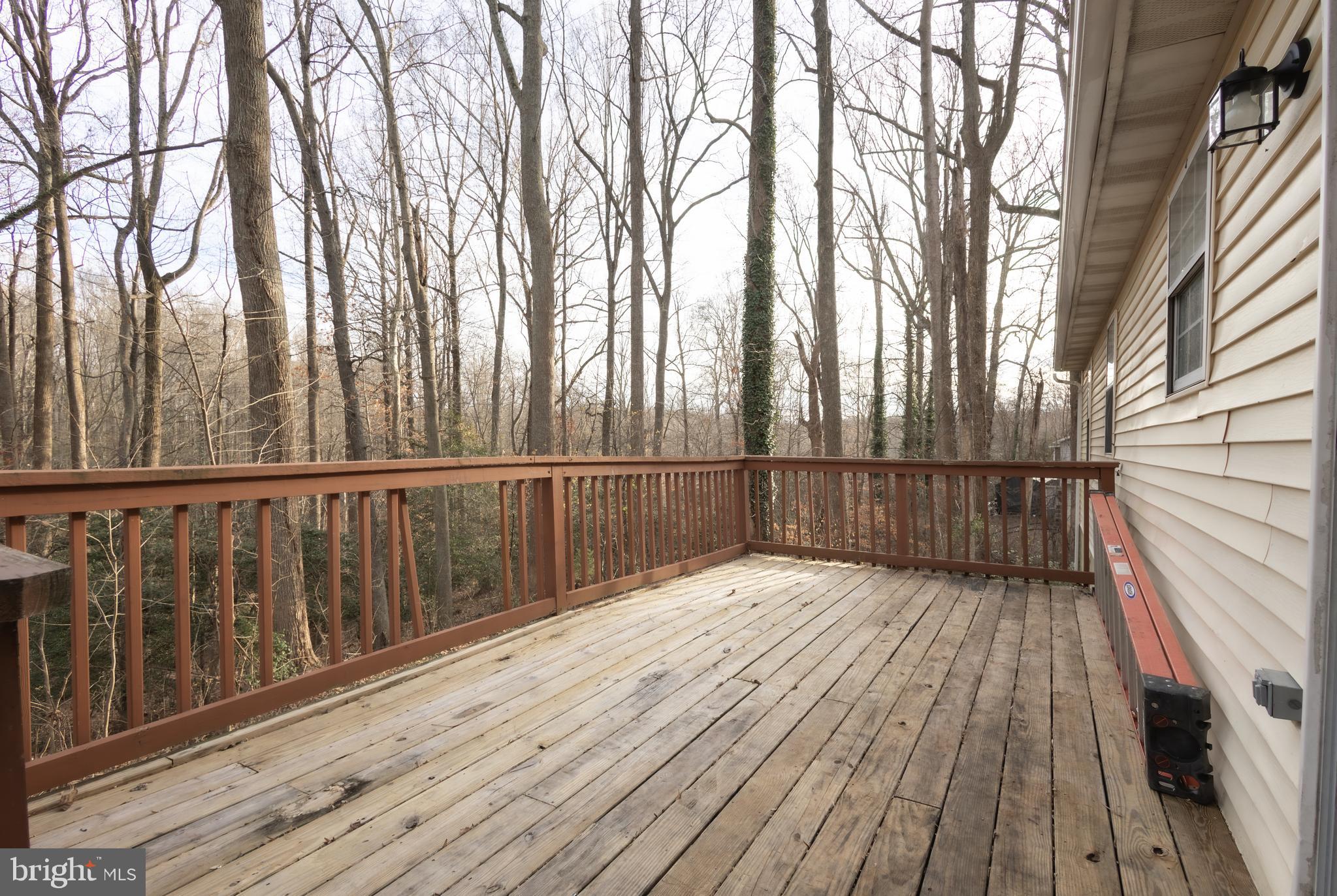 580 Evergreen Court Lusby, MD 20657 - Photo 12 of 14