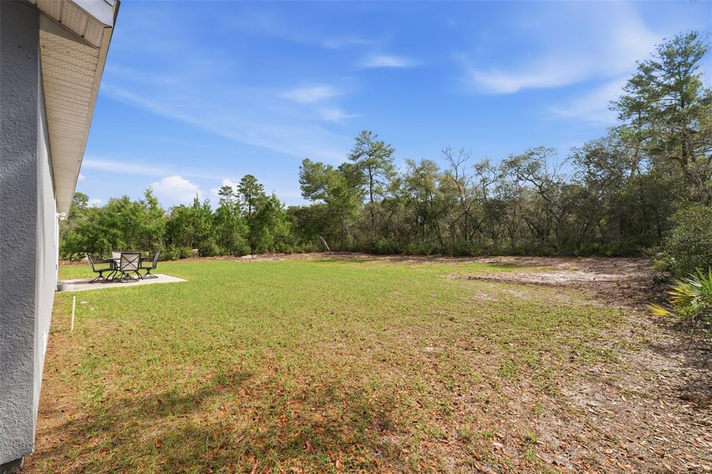 15989 Southwest 29th Court Road Ocala, FL 34473 - Photo 29 of 31