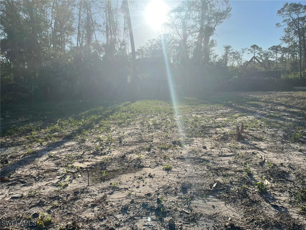 2004 Canton Avenue Alva, FL 33920 - Photo 2 of 8 a view of a yard