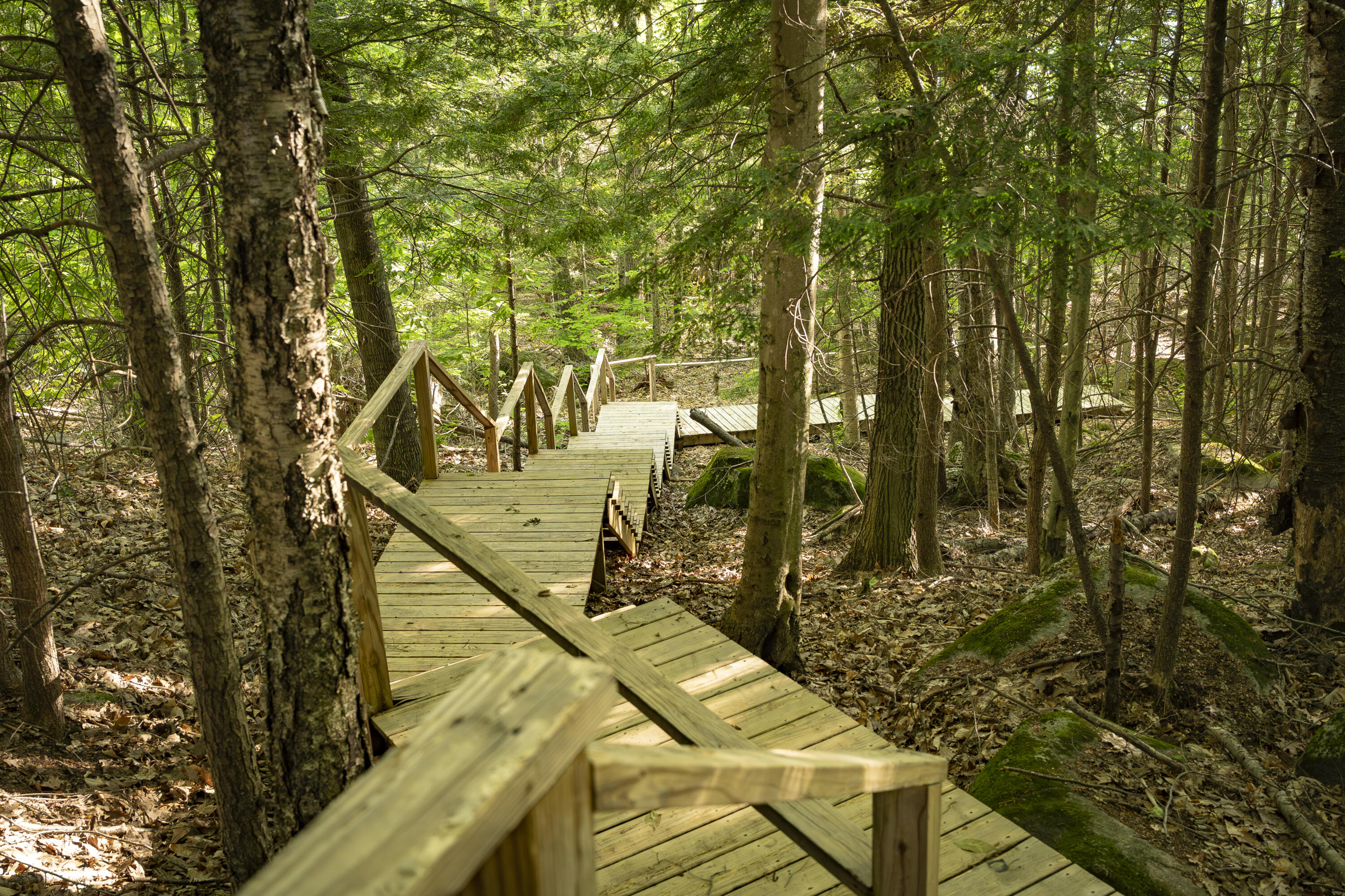 548 Allen Pond Road Greene, ME 04236 - Photo 53 of 74 House-24