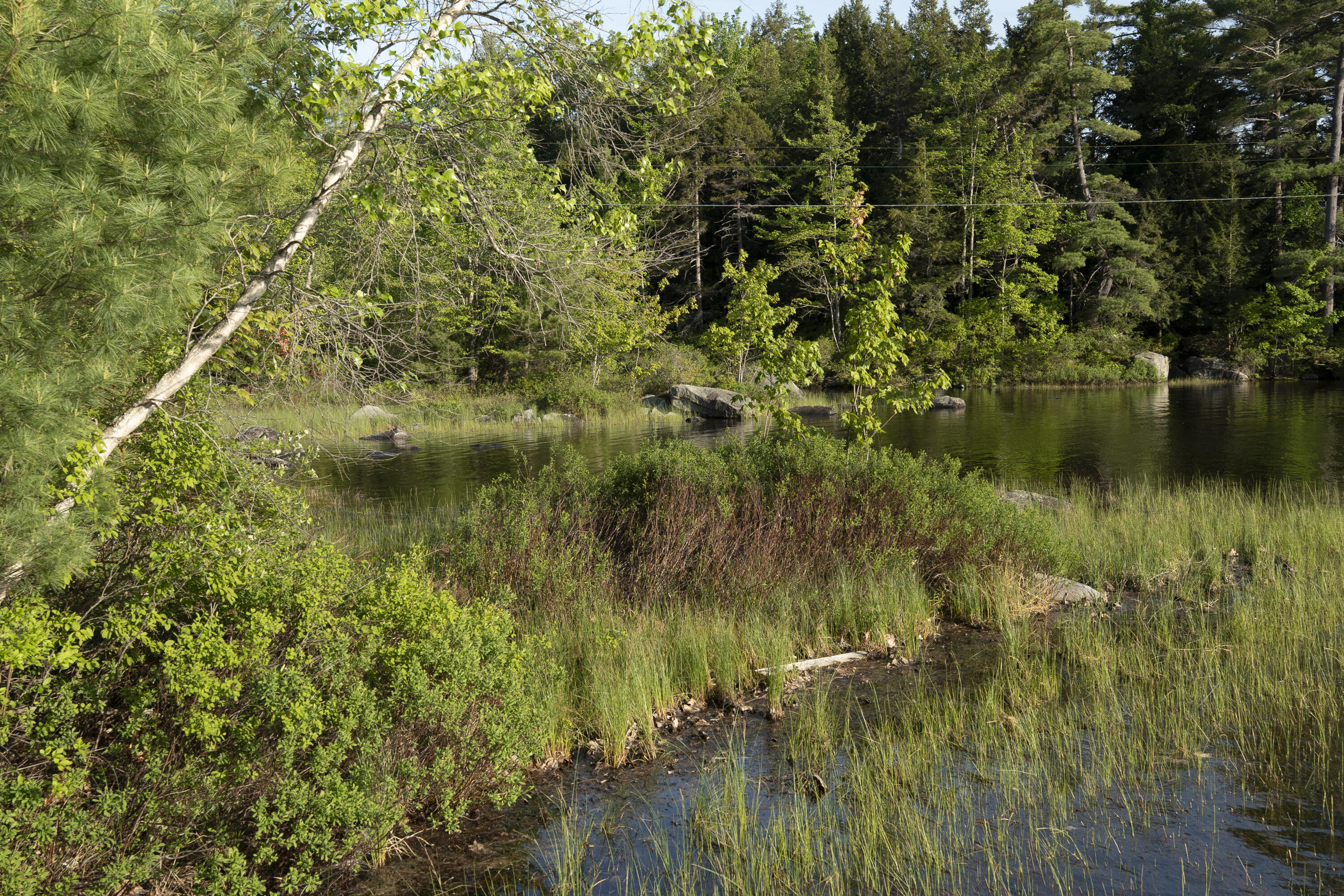 548 Allen Pond Road Greene, ME 04236 - Photo 70 of 74 House-26
