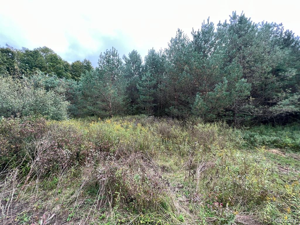 Parcel C Byron Road Howell, MI 48855 - Photo 2 of 6 Gallery Image 2