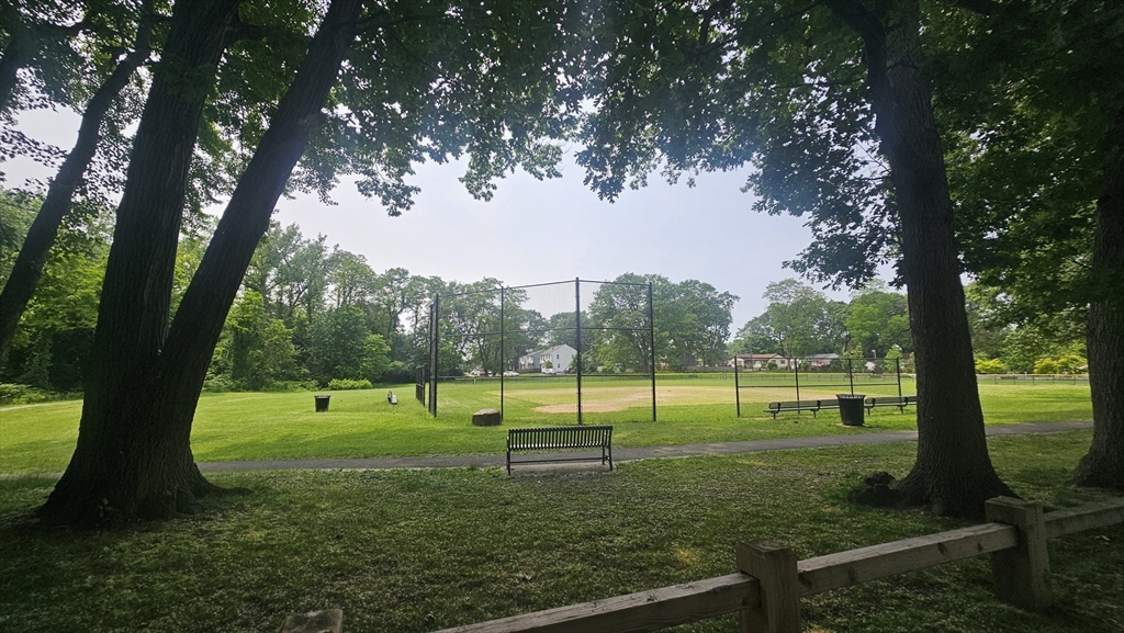 181 Freeman Terrace Springfield, MA 01104 - Photo 4 of 24