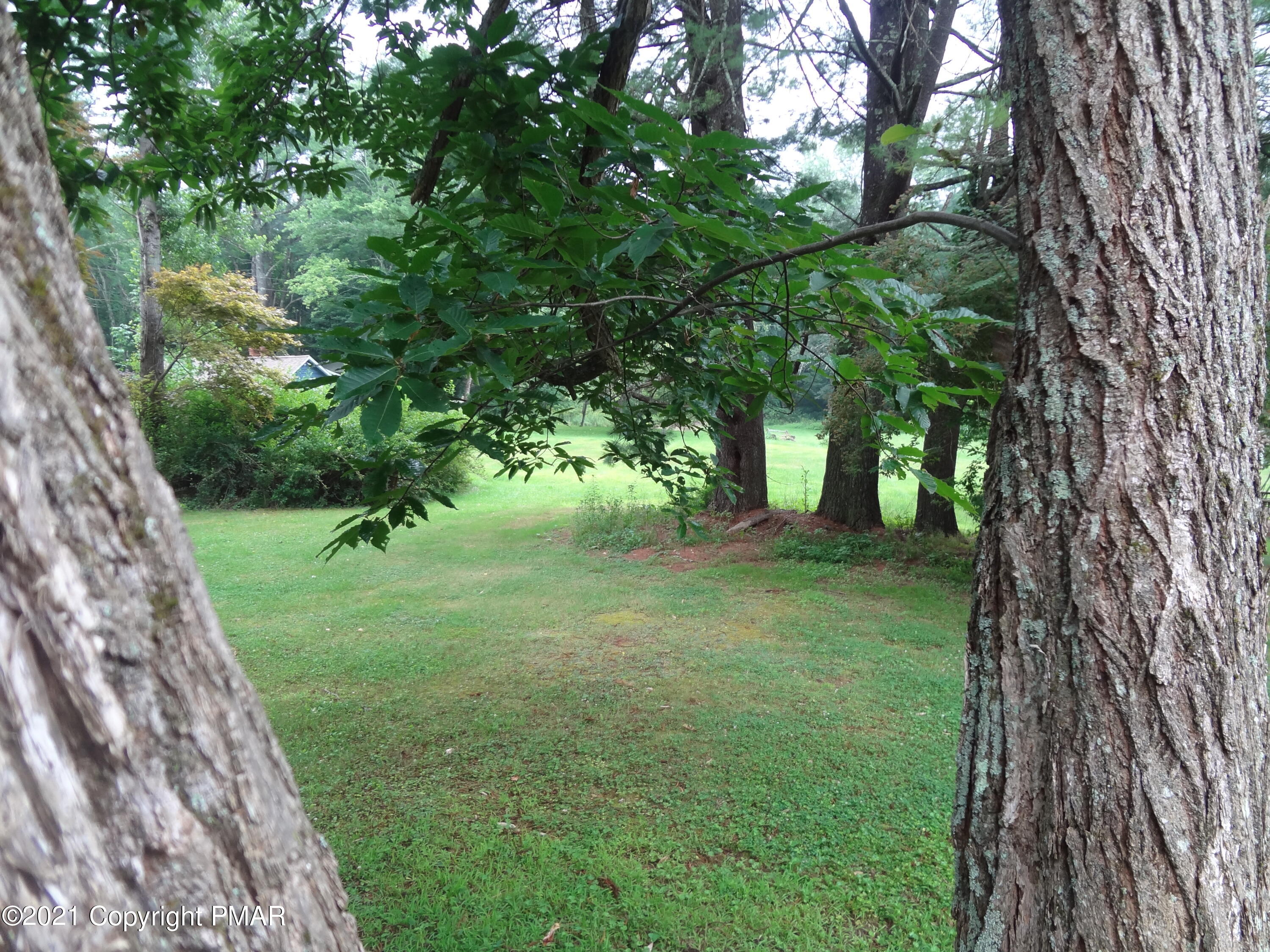 1126 Bush Road Cresco, PA 18326 - Photo 8 of 39 Flat backyard
