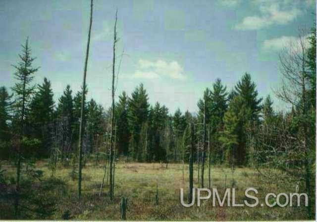 Tbd Off Craig Lake Road Michigamme, MI 49861 - Photo 16 of 23